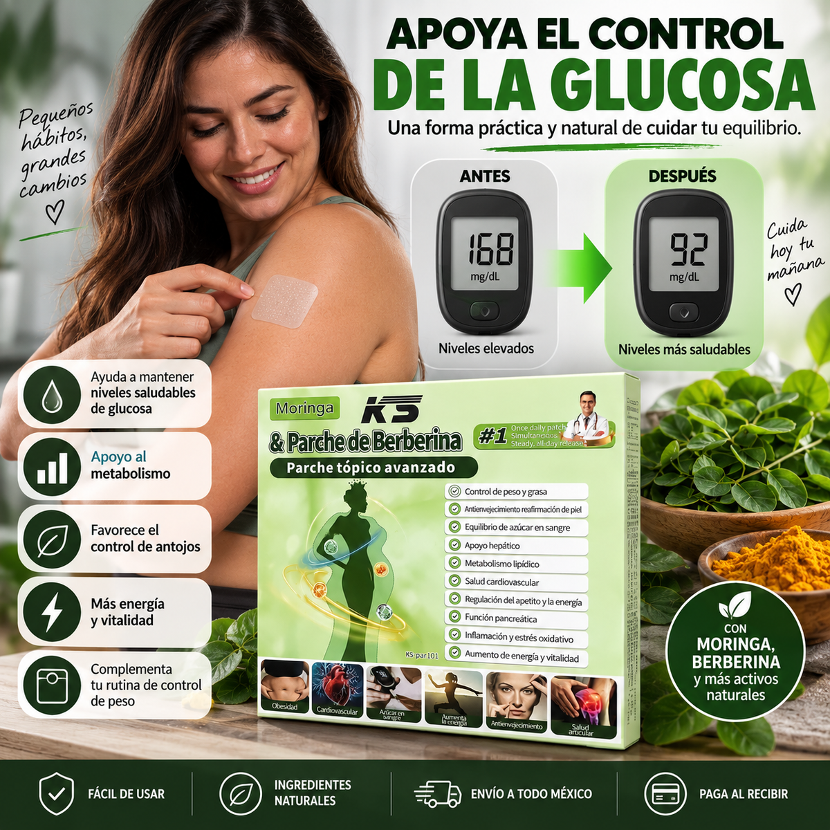 PARCHES MORINGA-BERBERINA