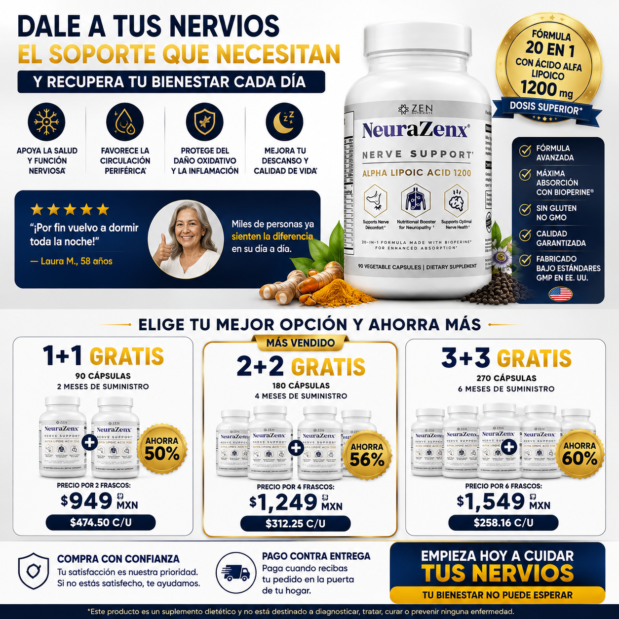 NeuraZenX|Sistema Nervioso