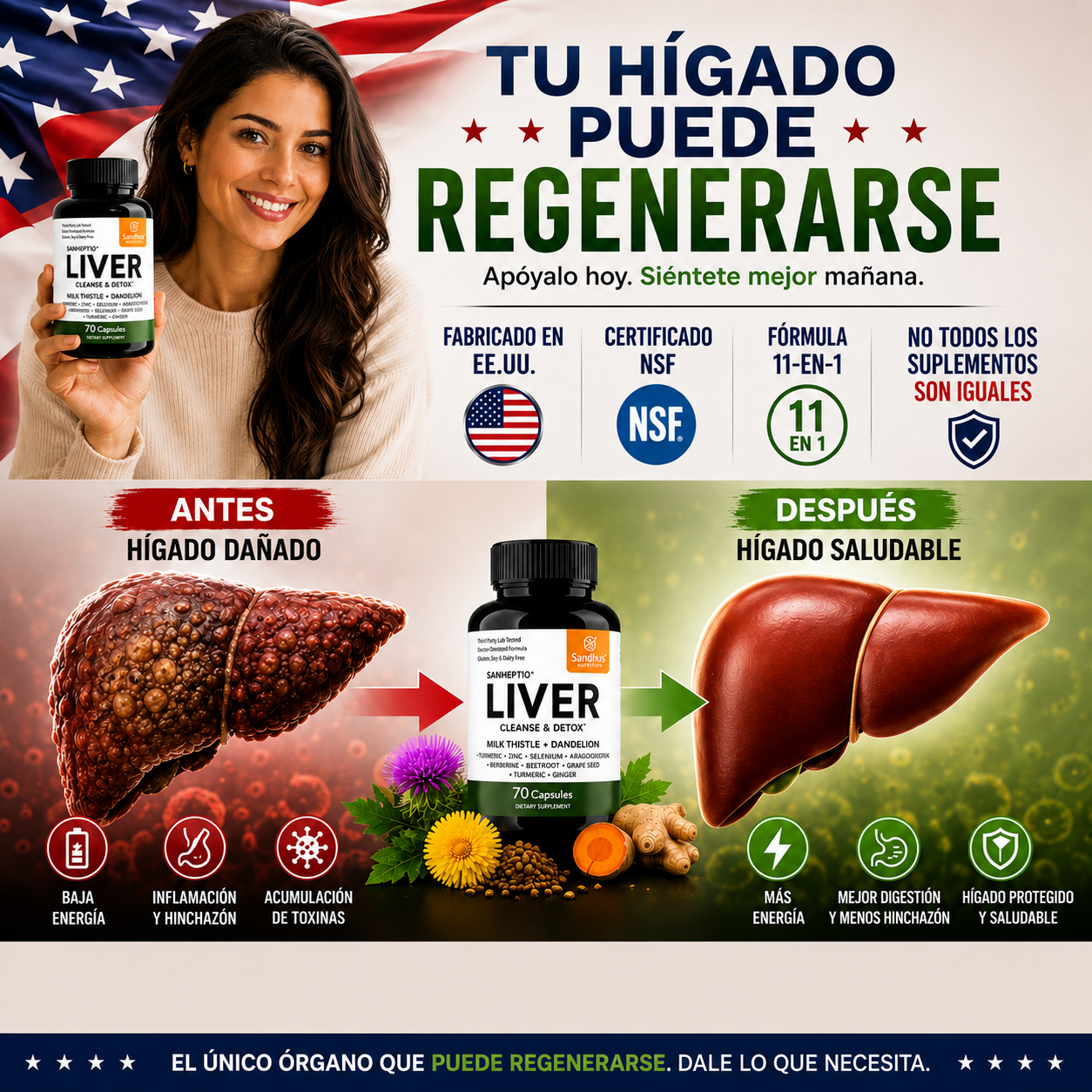 Liver|Limpia Tu Higado