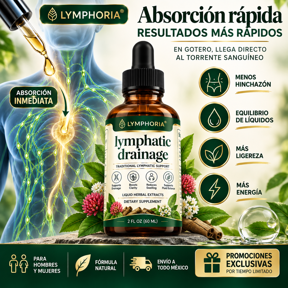 LYMPHORIA BALANCE