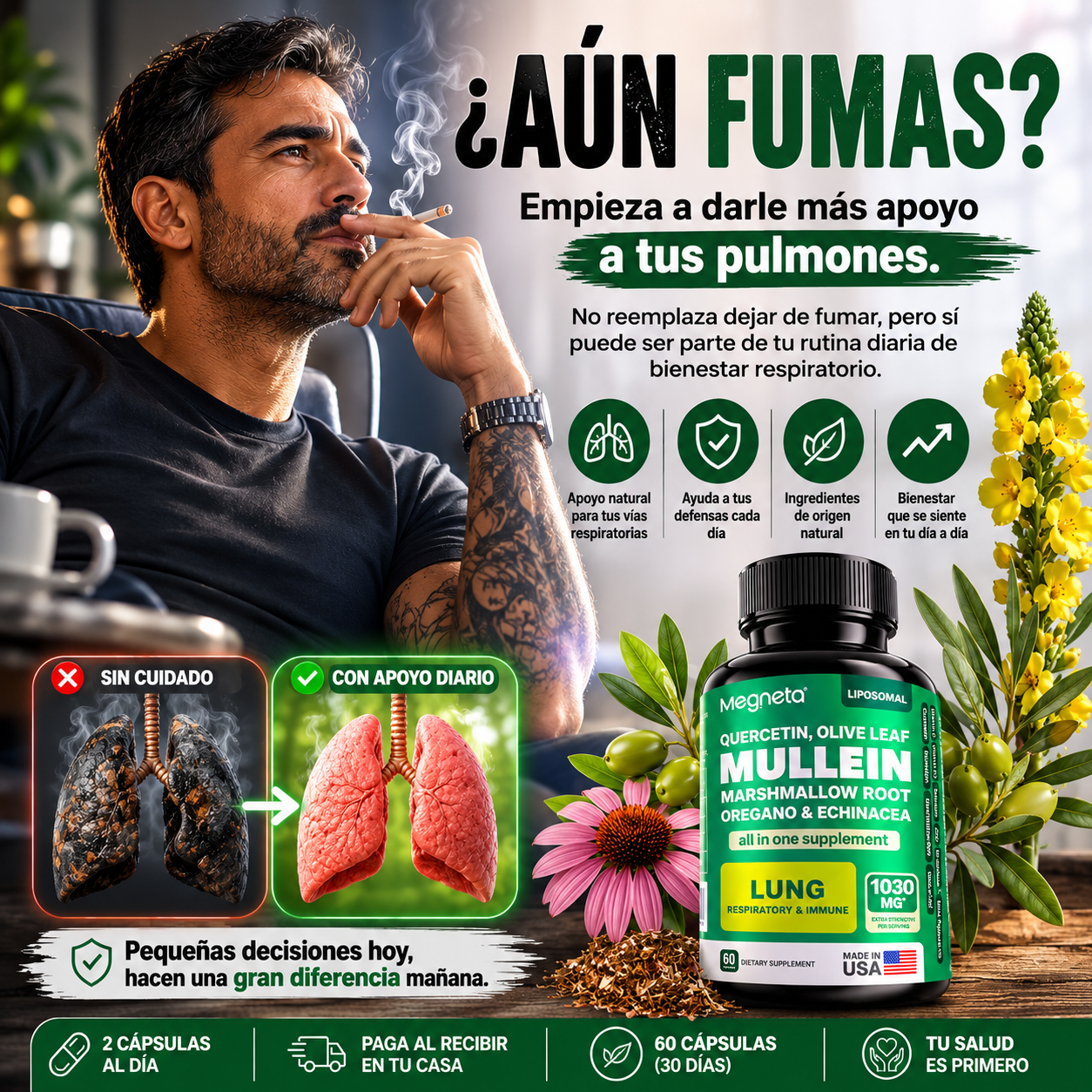 MULLEIN LUNG|MEGNETA