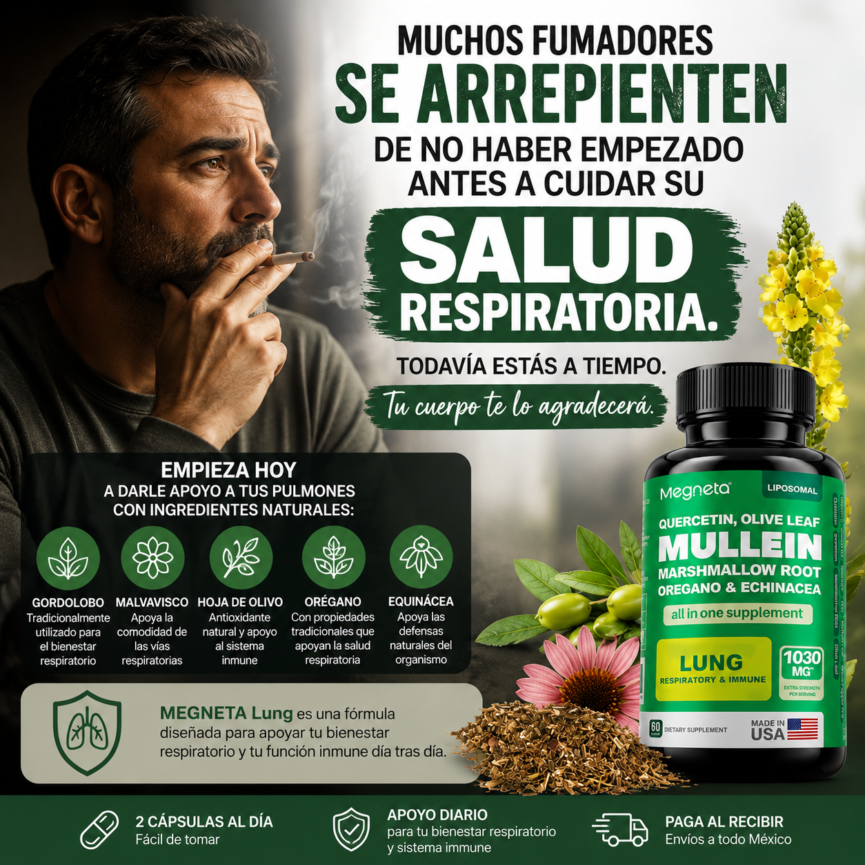 MULLEIN LUNG|MEGNETA