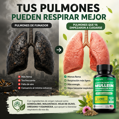 MULLEIN LUNG|MEGNETA