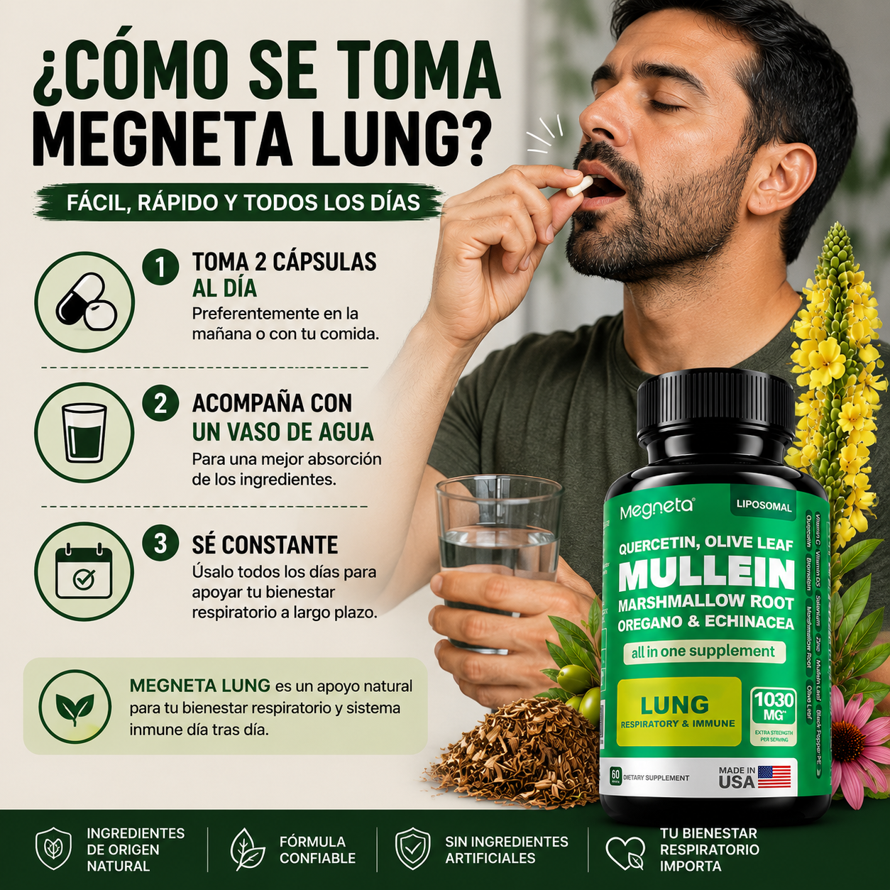 MULLEIN LUNG|MEGNETA