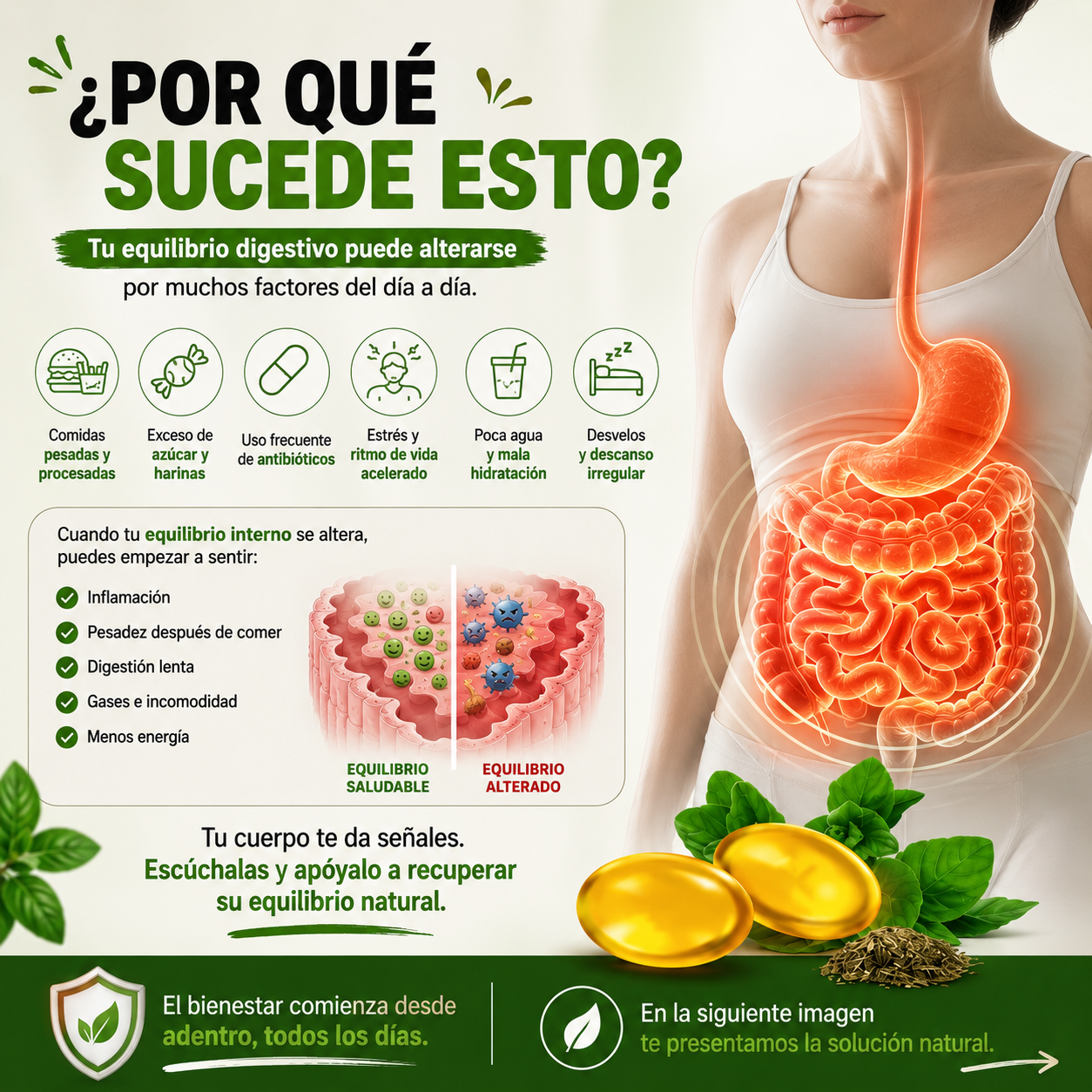 Aceite Oregano|Cuerpo Saludable