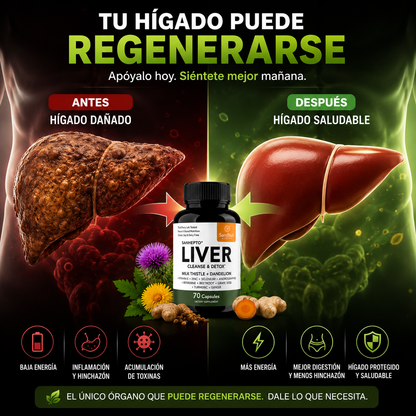 Liver|Limpia Tu Higado