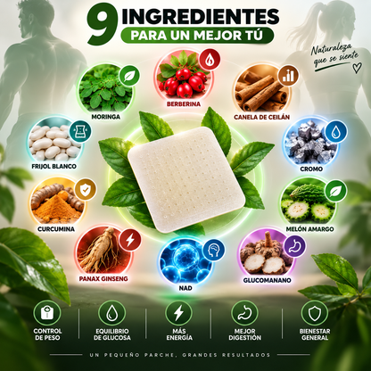 PARCHES MORINGA-BERBERINA