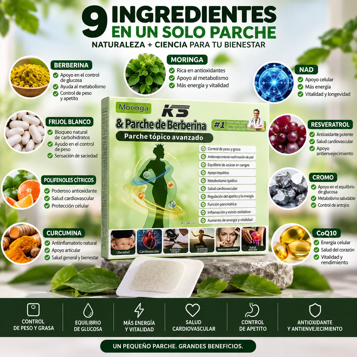 PARCHES MORINGA-BERBERINA