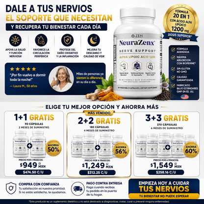 NeuraZenX|Sistema Nervioso
