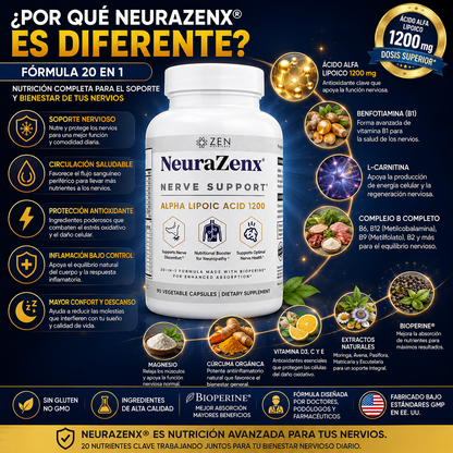 NeuraZenX|Sistema Nervioso