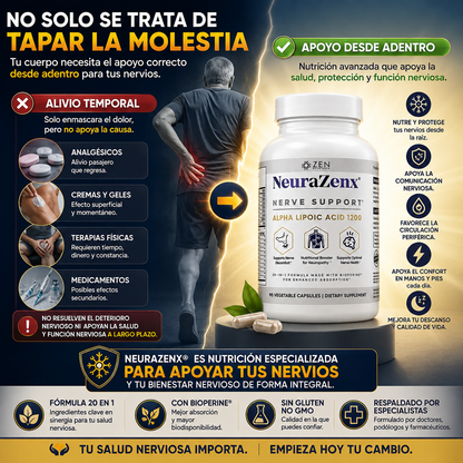 NeuraZenX|Sistema Nervioso