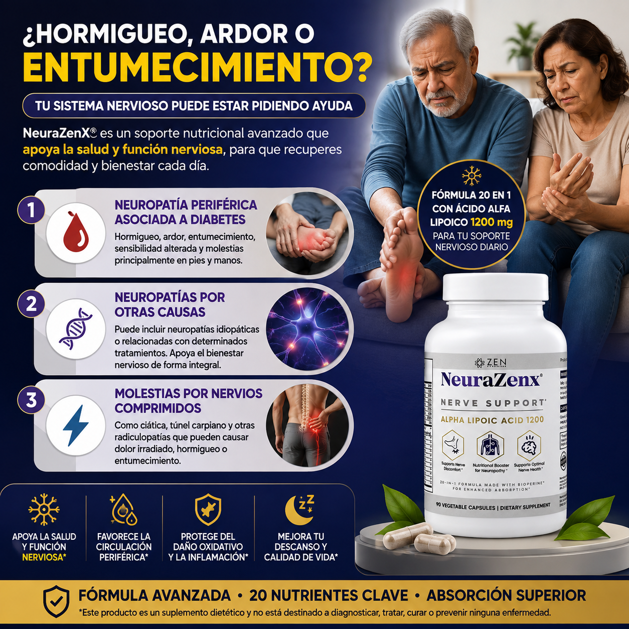 NeuraZenX|Sistema Nervioso